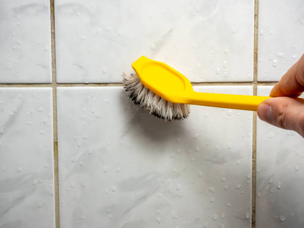 Best Affordable Mold Removal  in North Lewisburg, OH