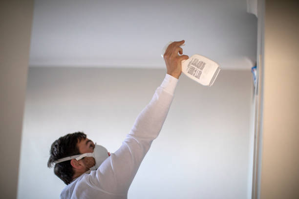 Best Emergency Mold Removal  in North Lewisburg, OH