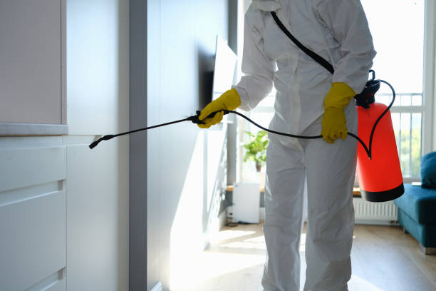 Reliable North Lewisburg, OH Mold Removal Solutions