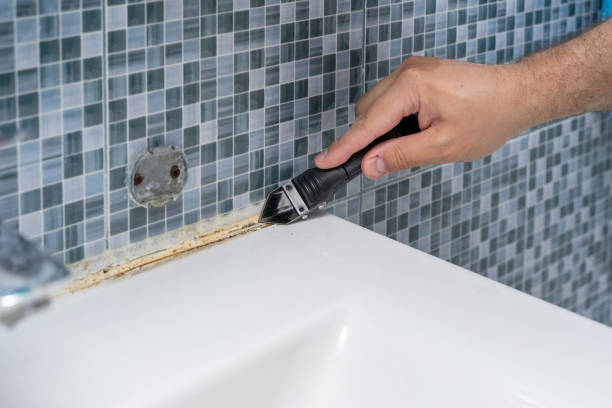 Best Fast Mold Removal  in North Lewisburg, OH