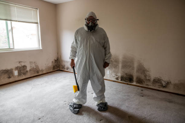 Best Residential Mold Removal  in North Lewisburg, OH